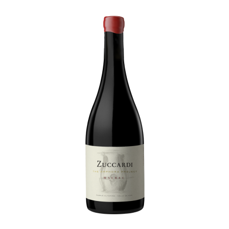 Zuccardi The Amphora Proyect
